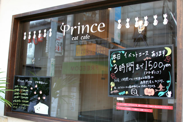 here is a cat cafe Genki, Mann?