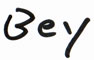 beyonce writing